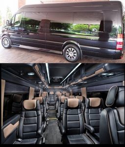 Atlanta 15 Passenger Luxury Van Rental